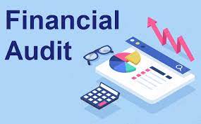 Financial Audit